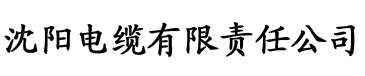 日韩中文字幕欧美专区电缆厂logo